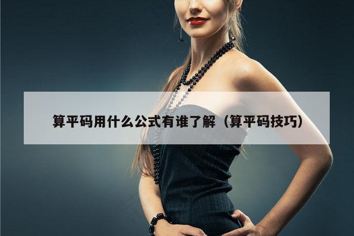 算平码用什么公式有谁了解（算平码技巧）