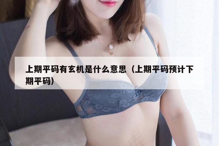 上期平码有玄机是什么意思（上期平码预计下期平码）